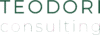 Teodori Consulting
